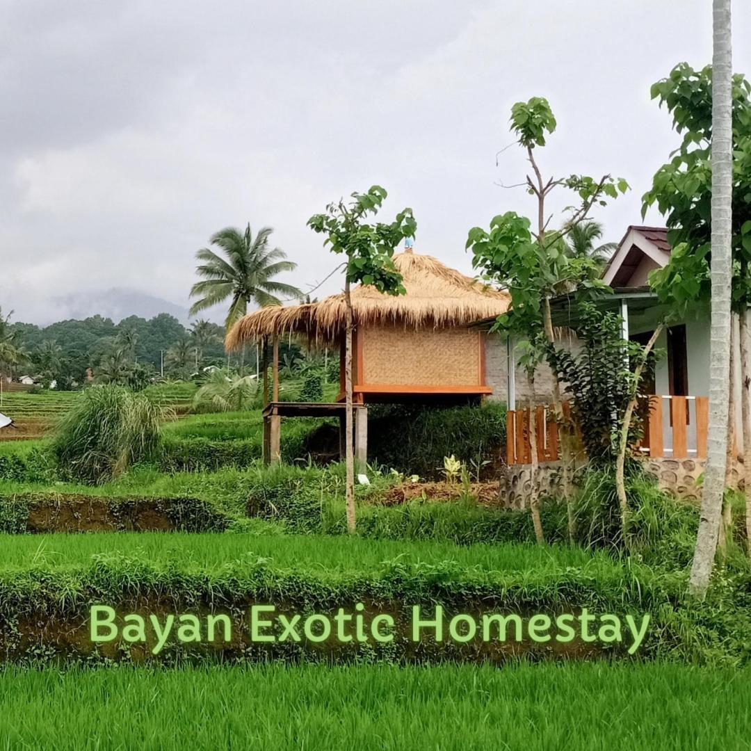 Bayan Exotic Homestay Senaru Eksteriør billede