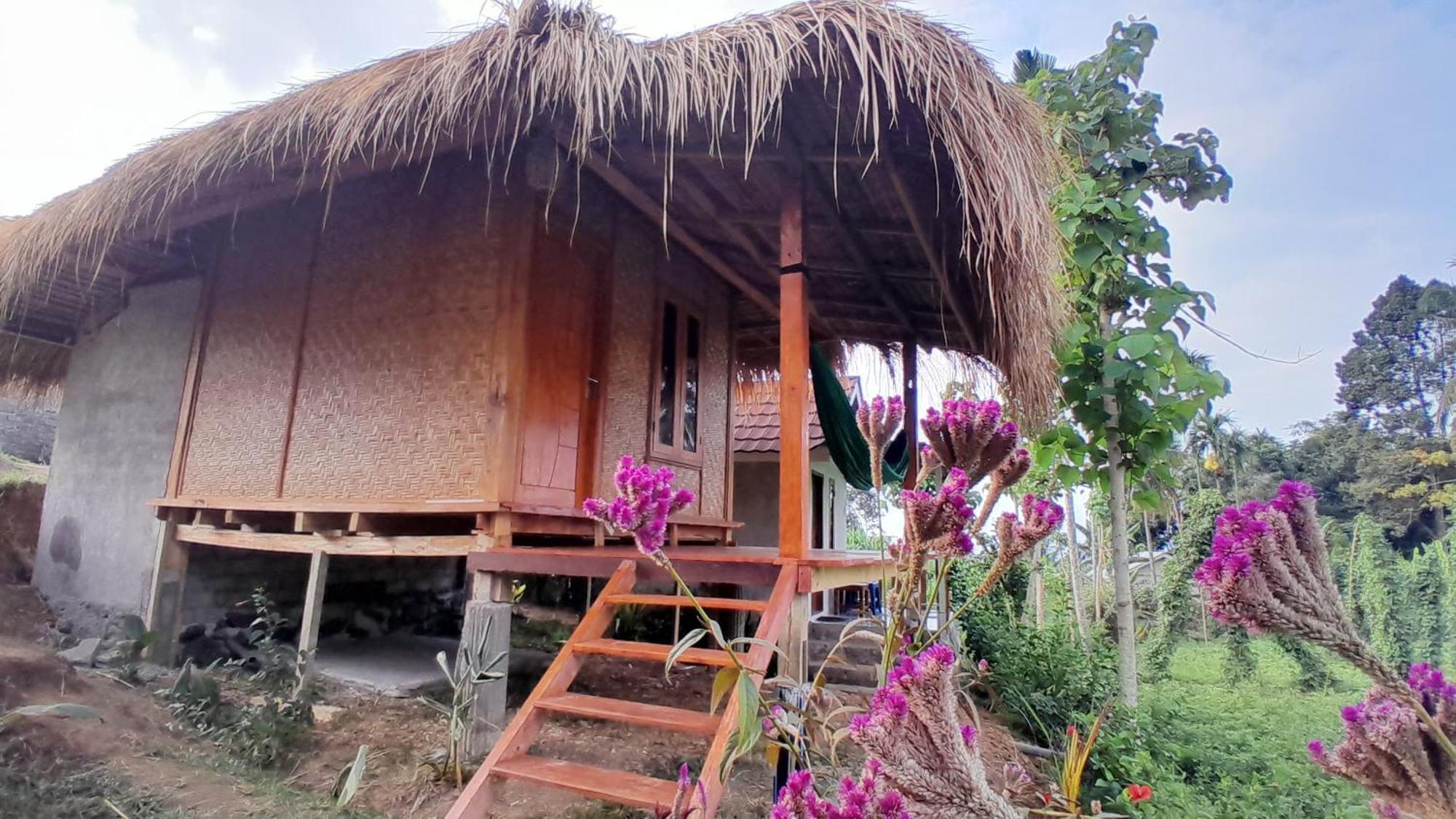 Bayan Exotic Homestay Senaru Eksteriør billede